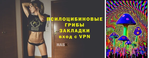 бошки Алзамай