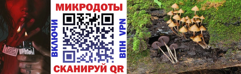 Галлюциногенные грибы MAGIC MUSHROOMS  Поронайск 